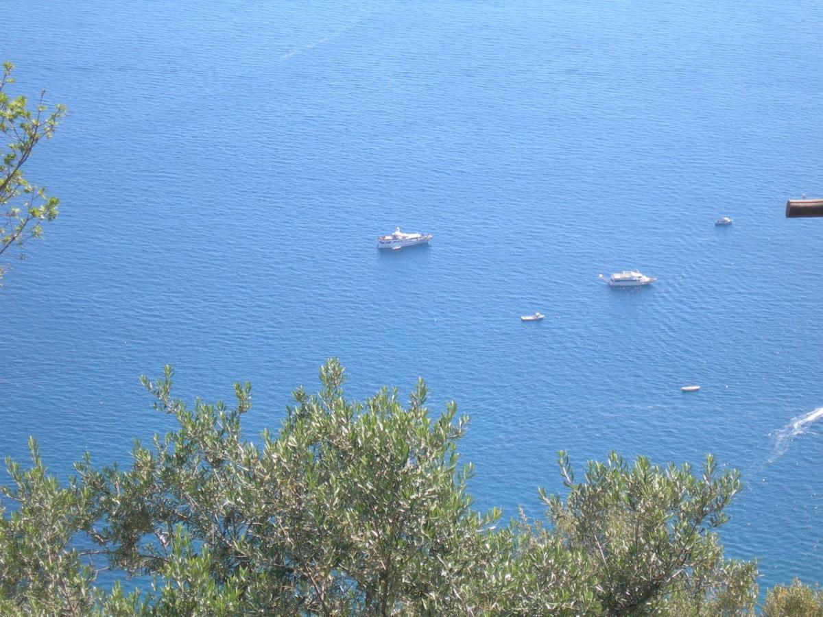 Fattoria La Tagliata Bed and Breakfast Positano Eksteriør billede
