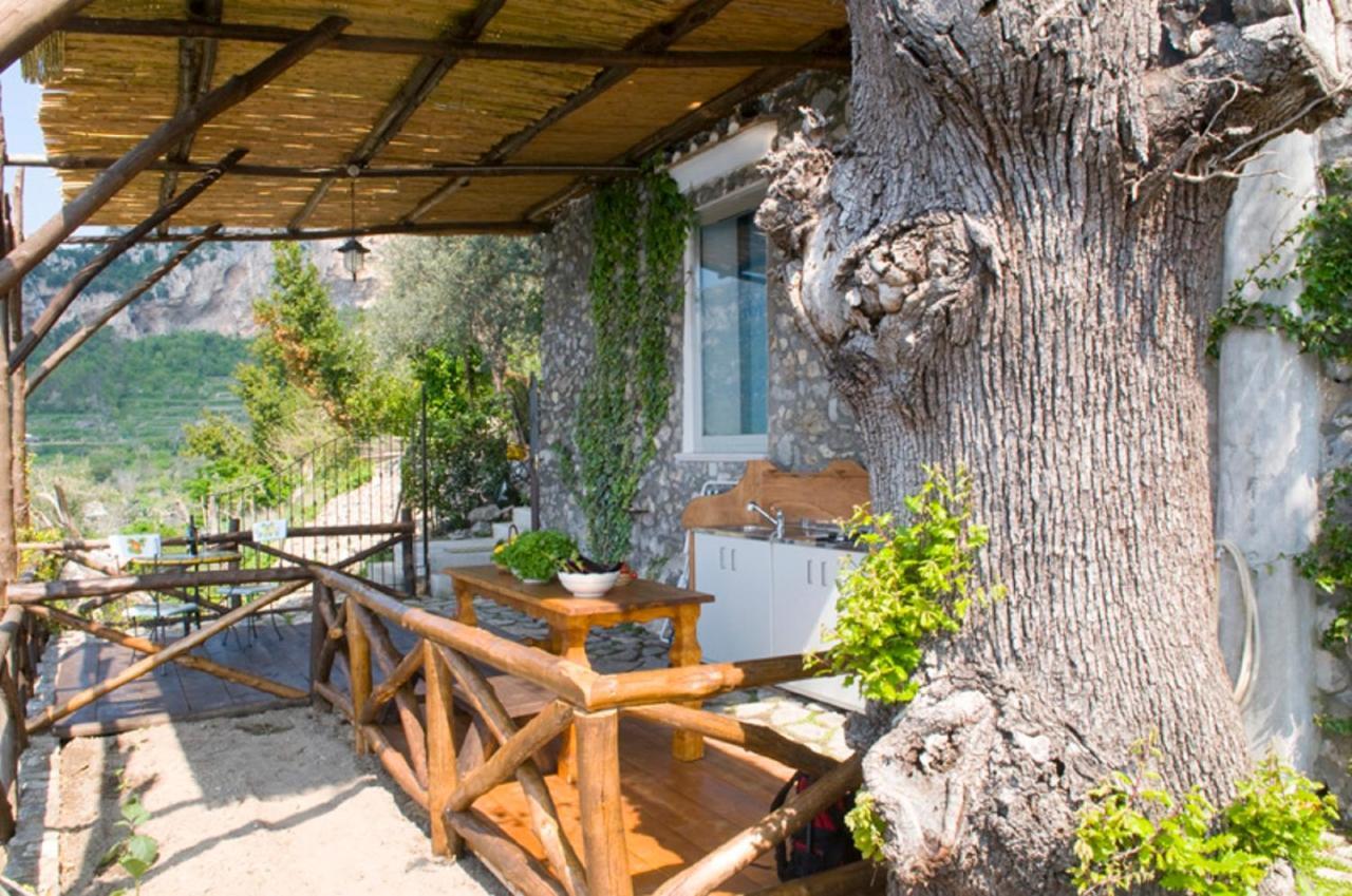 Fattoria La Tagliata Bed and Breakfast Positano Eksteriør billede