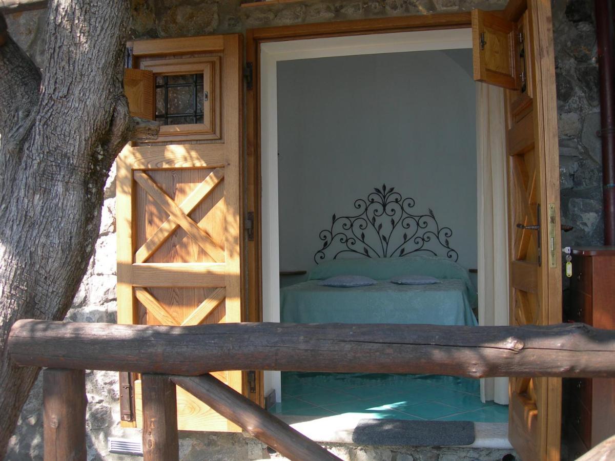 Fattoria La Tagliata Bed and Breakfast Positano Eksteriør billede